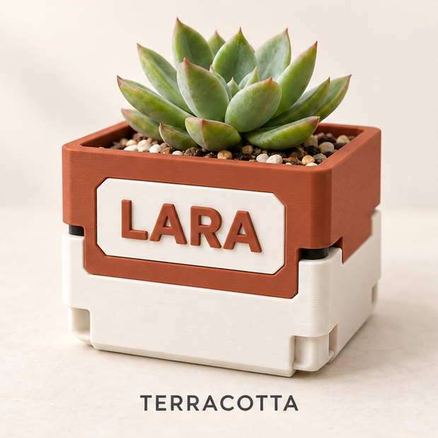Two-tone planter, terracotta over cream, with LARA on the front face and a succulent inside