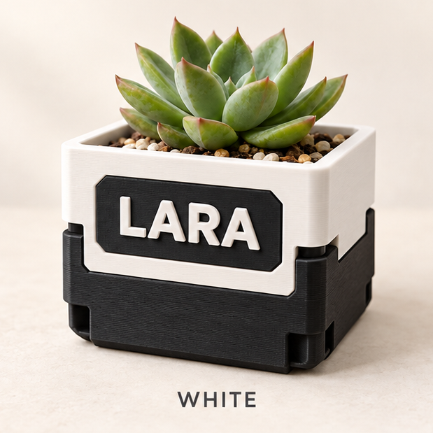 Two-tone planter, white over black, with LARA on the front face and a succulent inside