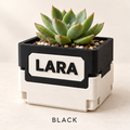 Two-tone planter, black over cream, with LARA on the front face and a succulent inside