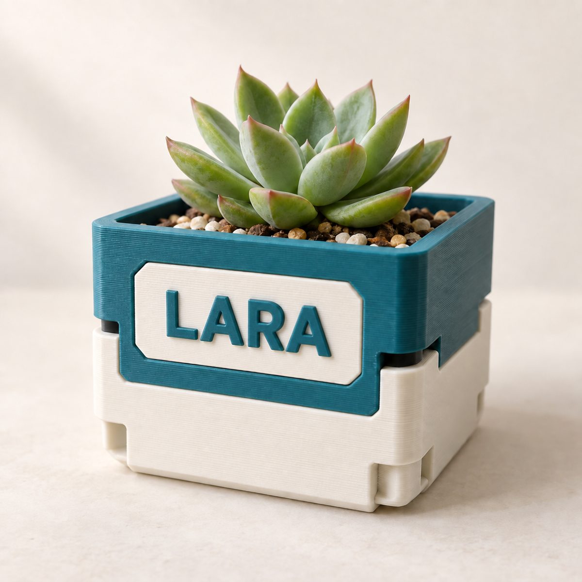 Two-tone planter, teal over cream, with LARA on the front face and a succulent inside